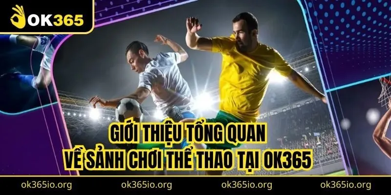 Giới thiệu tổng quan về sảnh chơi thể thao tại OK365