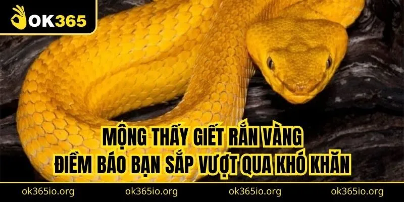 Mộng thấy giết rắn vàng điềm báo về việc bạn sắp vượt qua khó khăn