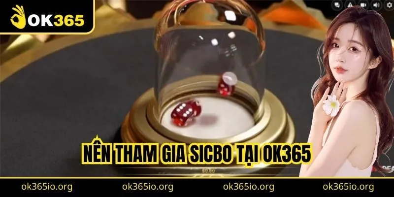 Nên tham gia Sicbo tại OK365